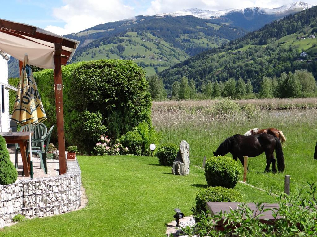 Appartement Plattner Zell am See Dış mekan fotoğraf