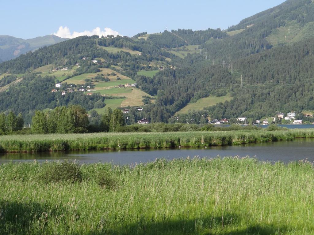 Appartement Plattner Zell am See Dış mekan fotoğraf